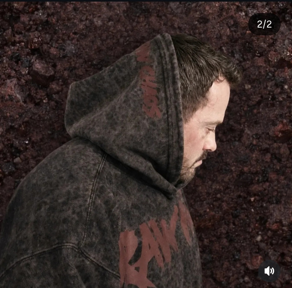 premium hoodie 2 logo