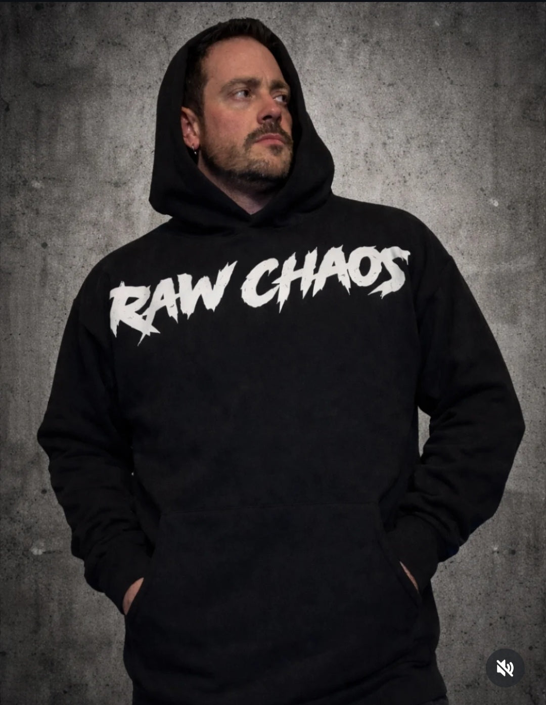 premium hoodie! color options are for the logo!